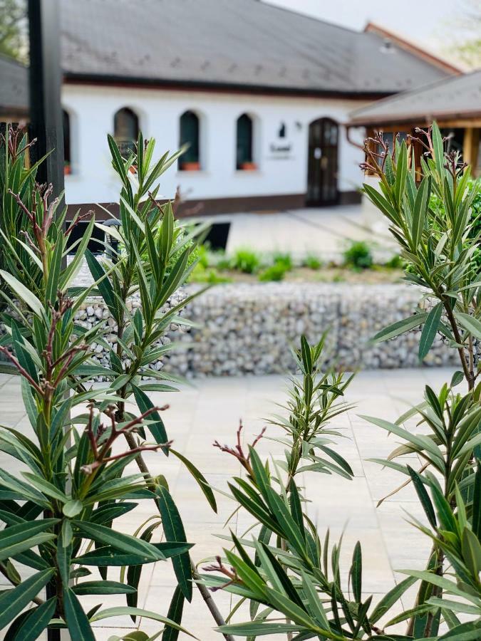 Kostel Panzio Hotel Kesztolc Luaran gambar